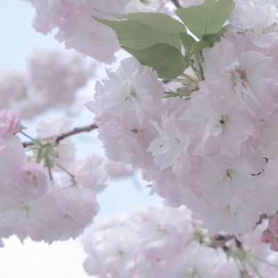 渑池FurryQQ群介绍